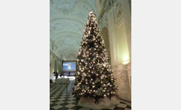 Albero di Natale - Reggia di Venaria